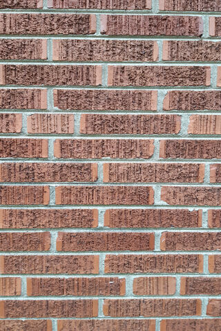 Timeless Texture: The Brick Wall