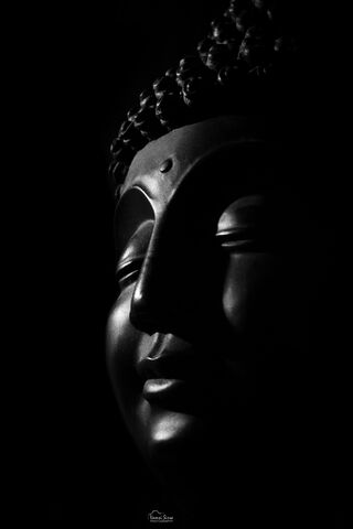 Mystical Serenity: The ..