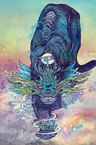 Spirit of the Black Panther 🌌✨