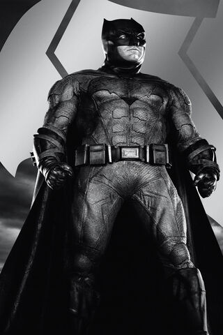 The Dark Knight Rises: A Hero's Stand 🦇