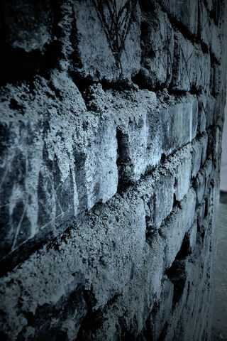 Urban Texture: The Story of a Cement Wall