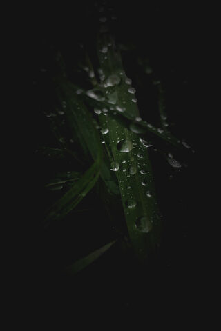 Dark Drops