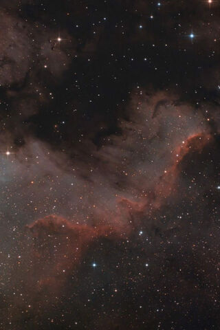 Estrella: The Celestial Wonder