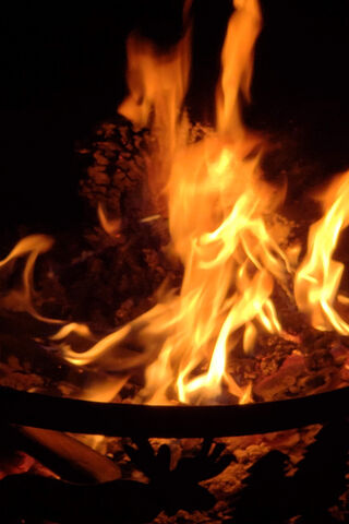 Dancing Flames: The Heart of Firelight 🔥✨