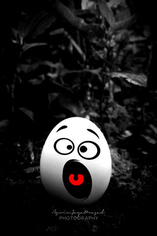 Egg-citing Surprise! 🥚😲