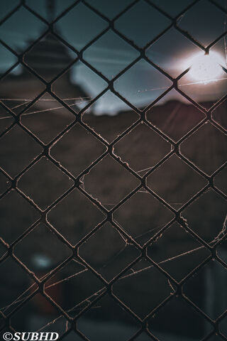 Behind the Grid: A Glimpse of the iPhone 12 Mini