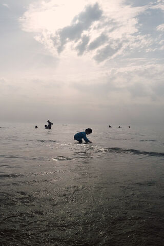 Whispers of Solitude by the Shore 🌊