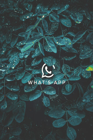 Nature's Whisper: A Leafy Embrace 🍃✨