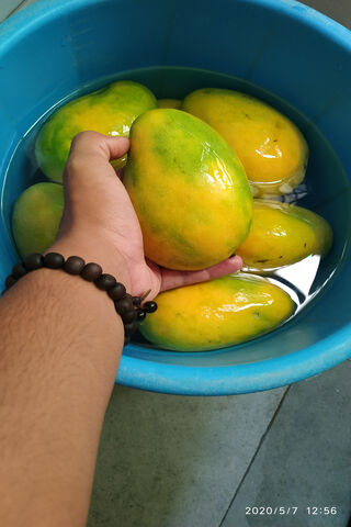 Mango Delight: A Taste of Summer 🍑☀️