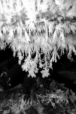 Whispers of Winter: The Enchantment of Midnight Frost ❄️✨