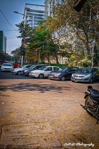 Nature Of City
