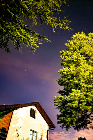 Starlit Serenity: A Perfect Night