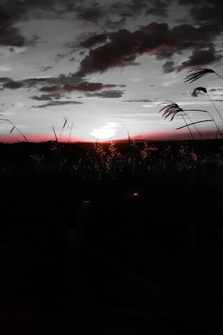 Twilight Serenity: The Magic of Por Do Sol 🌅✨