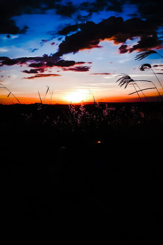 Sunset Serenity: Embracing the Golden Hour 🌅✨