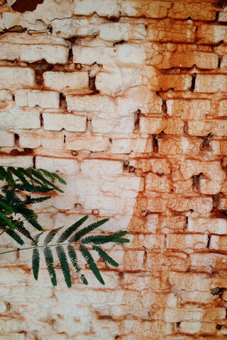 Rustic Charm: The Story of Parede