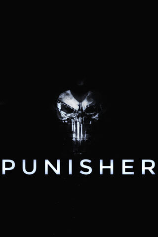 Vengeance Unleashed: The Punisher's Call