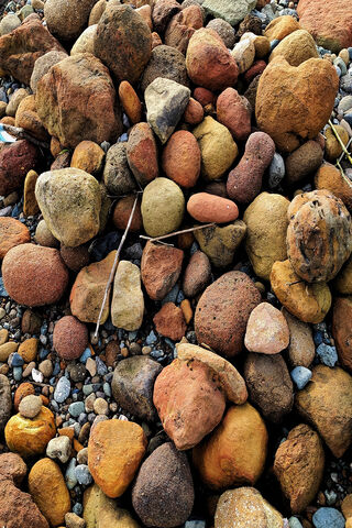 Nature's Colorful Mosaic: A Rock Collection