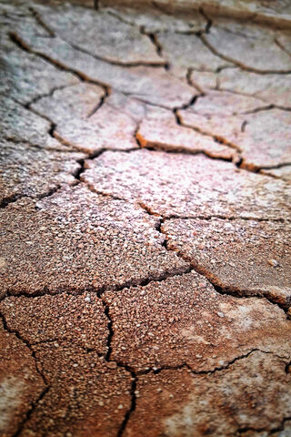 Cracked Earth: A Story of Resilience 🌍✨
