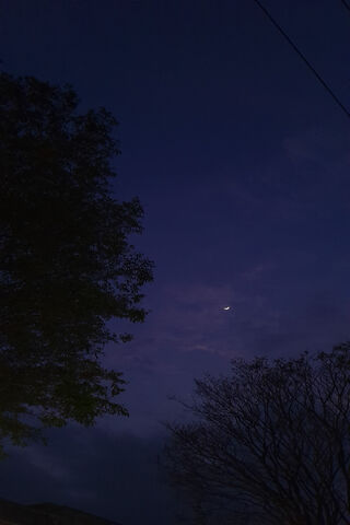 Whispers of Twilight 🌙