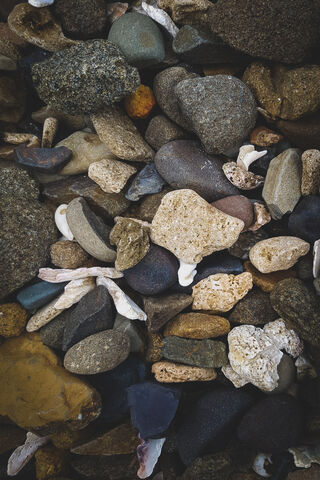 Nature's Mosaic: A Tapestry of Shells and Stones