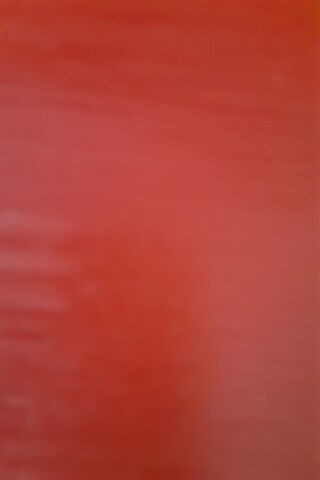 Crimson Canvas: A Bold Statement