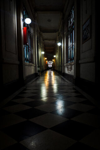 Journey Through the Shadows