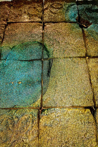 Tiny Wonders: The Art of Detail 🌍✨