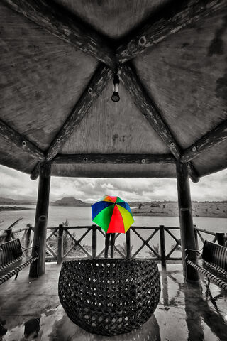 Umbrella