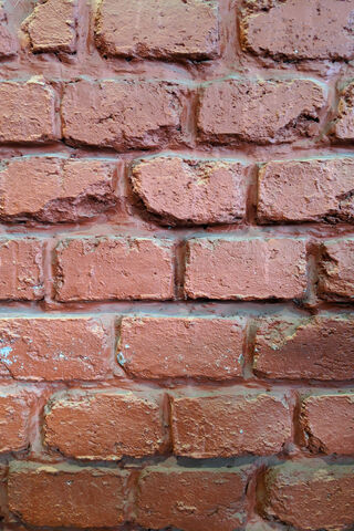 Rustic Charm: The Beauty of Brick Walls 🧱✨