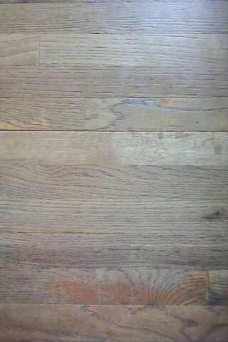 Natural Elegance: The Beauty of Wood Flooring 🌳✨