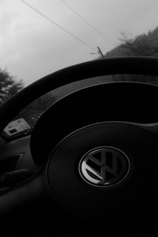Driving Through the Storm: A VW Journey