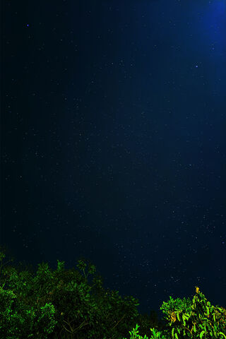 Celestial Wonders: A Night Under the Stars 🌌✨