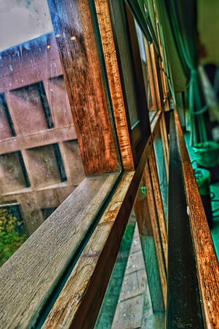 Nature's Frame: A Glimpse Through the Window 🌿✨