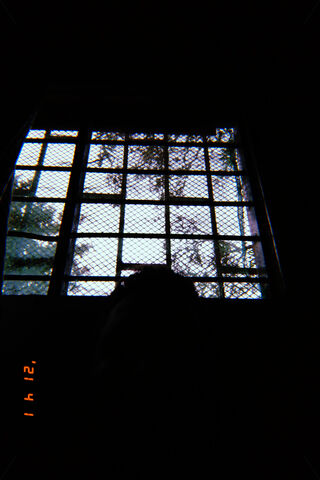 Whispers of Nature Through the Aesthetic Window 🌿✨