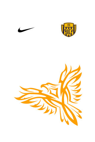 Soaring Spirit of Ankaragücü 🦅