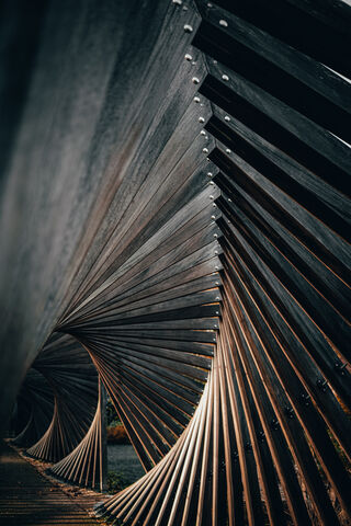 Waves of Wood: A Modern Marvel 🌊✨