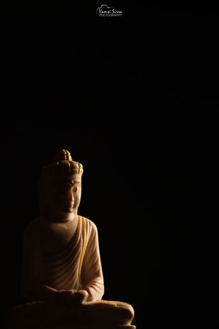 Serenity in Shadows: The Black Buddha