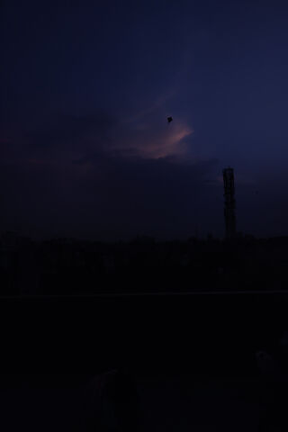 Whispers of the Night 🌌