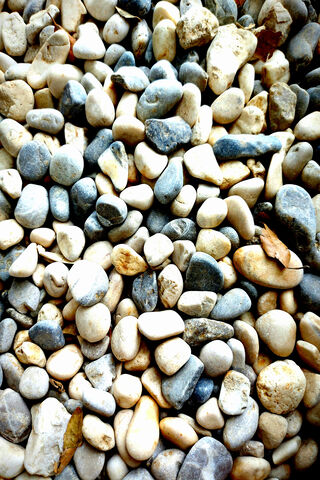 Nature's Pebble Palette 🌈