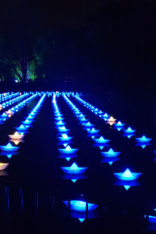 Blue Boats