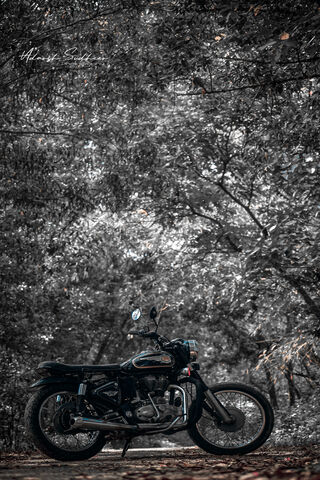 Bullet: The Timeless Ride