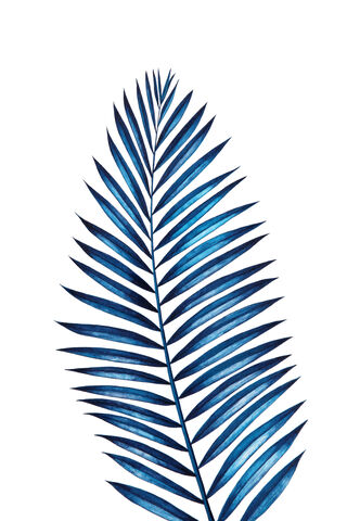 Ocean Breeze: The Enchanting Blue Leaf 🌊🍃