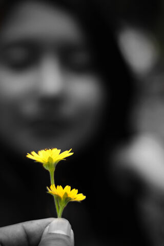 A Touch of Sunshine in Shadows ☀️🌼