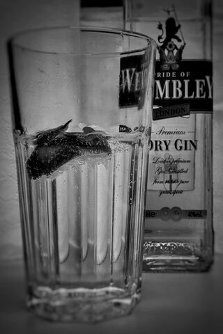 Sip of Elegance: Bw Dry Gin Delight 🍸✨