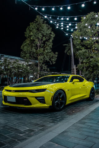 Buzzing into the Night: The Bumble Bee Camaro