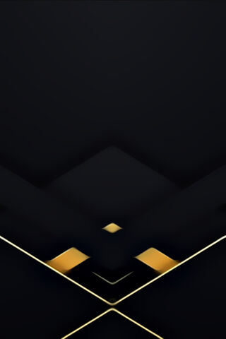 Elegant Black and Gold Fusion ✨