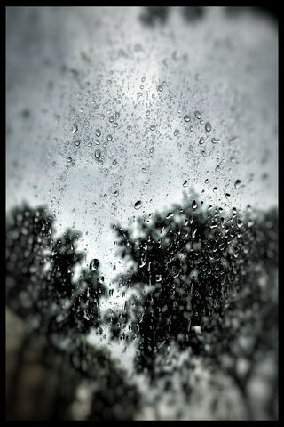 Nature's Tears: A Rainy Reflection