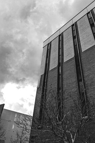 Urban Shadows: A Study in Contrast