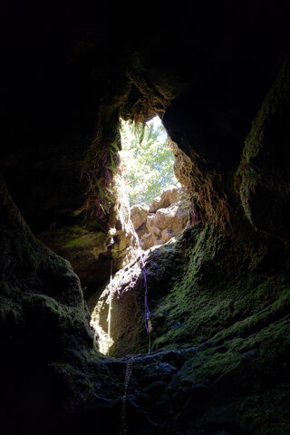 Mysteries of the Cave: Nature's Hidden Gem 🌿✨