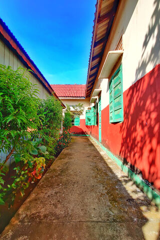 Vibrant Pathways: A Jou..